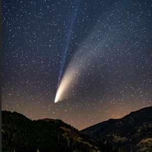 Meet your Posher, Arlene